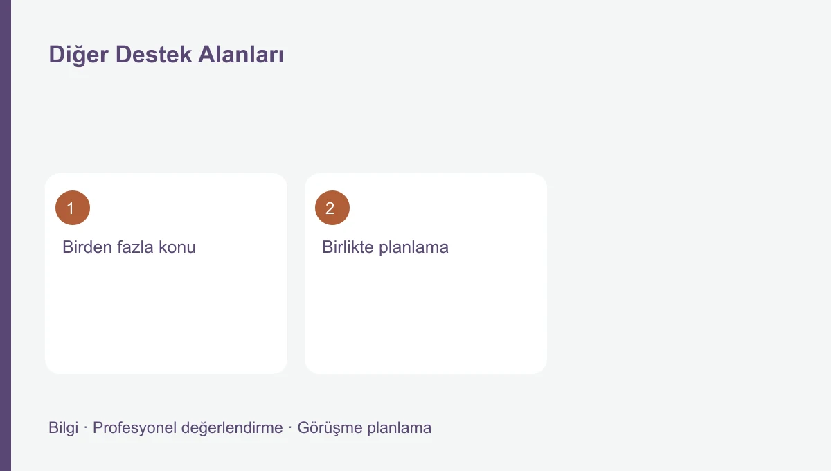 Diğer Destek Alanları Diğer Destek Alanları için üç başlığı gösteren bilgi şeması